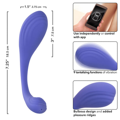 Connect - Kegel Exerciser