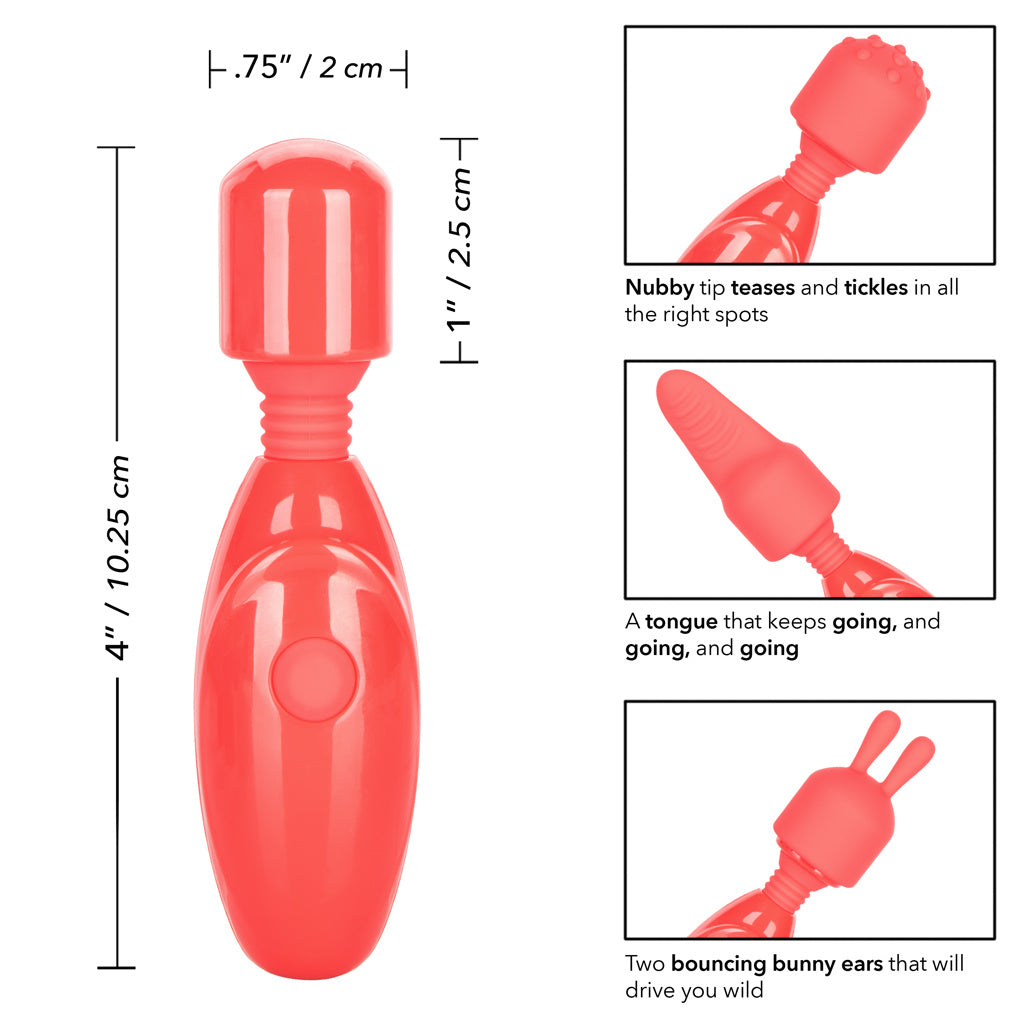 Calexotics - Rechargeable Massager Kit