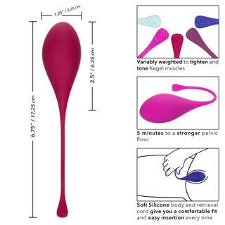 Tighten & Tone - Kegel Training 5 Piece Set