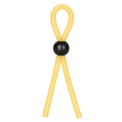 The Lasso