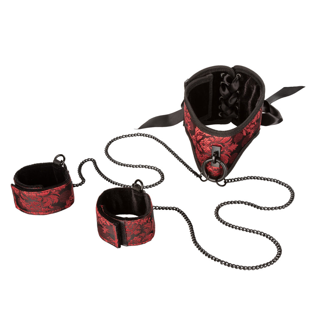 Scandal - Posture Collar With Cuffs