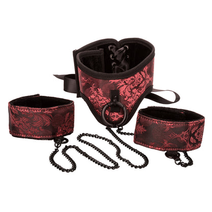 Scandal - Posture Collar With Cuffs
