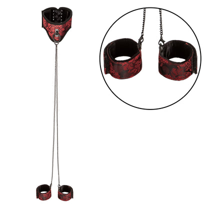 Scandal - Posture Collar With Cuffs