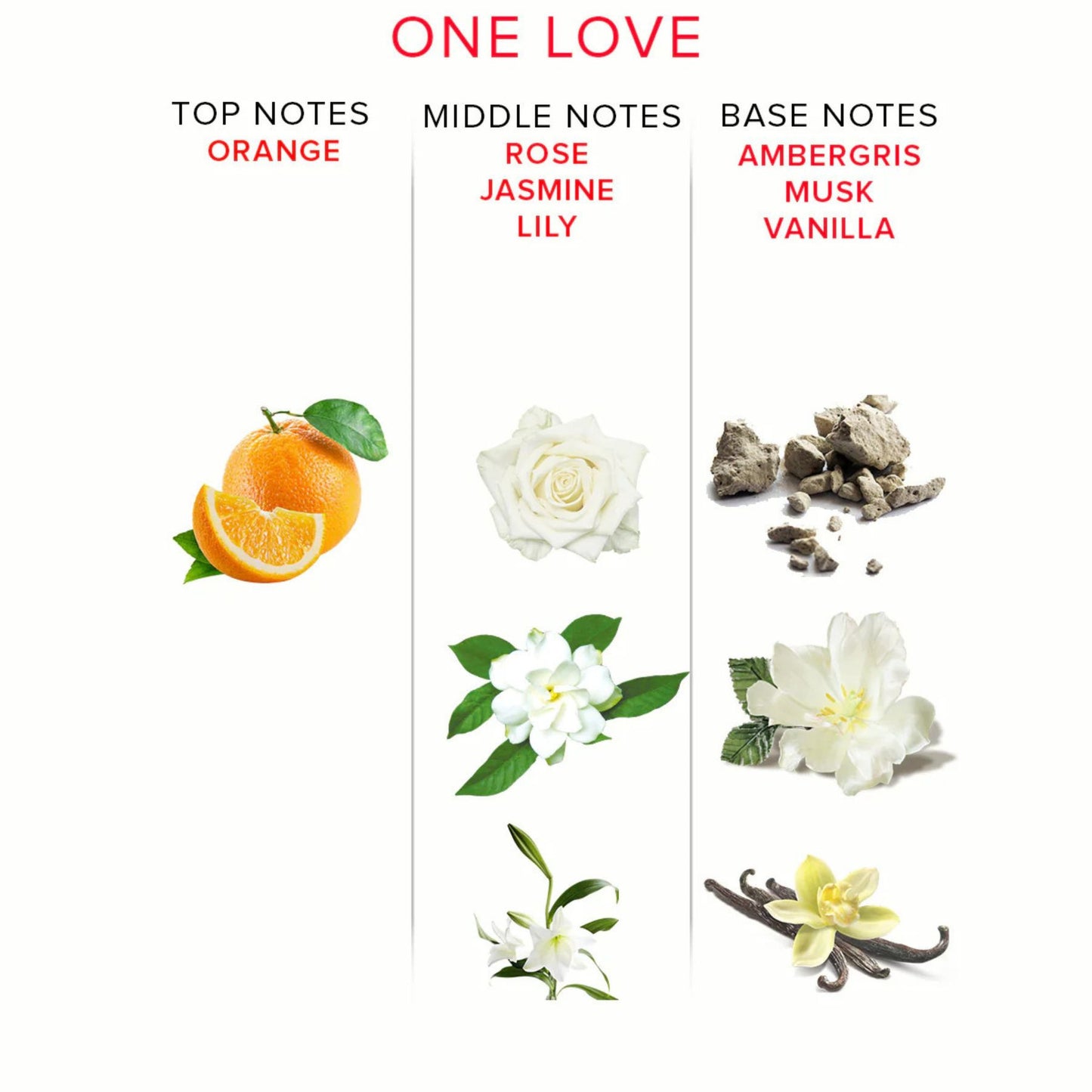 Classic - Parfum Phéromone Attract Him - One Love 50ml/1.6oz