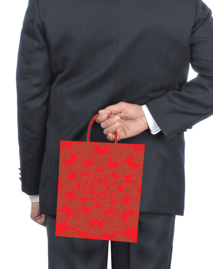 LG - Sac Cadeau - Coeurs Scintillants