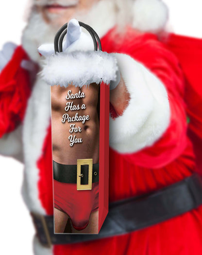 LG - Sac Cadeau - Santa Has A Package For You