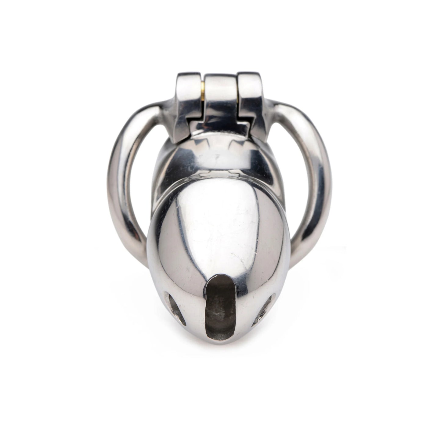 Master Series - Rickers Steel Locking Chastety Cage