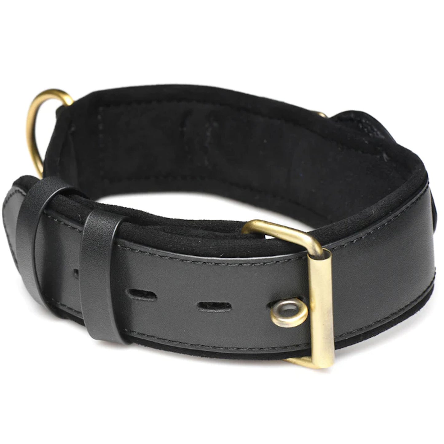 Master Series - Tracer Tracking Collar