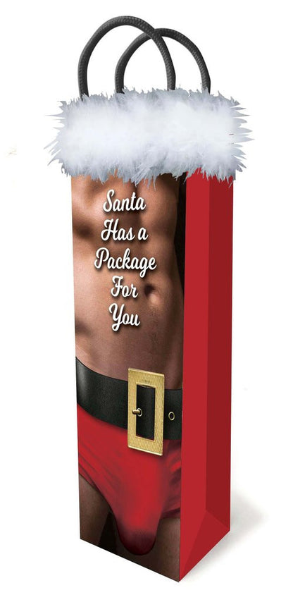 LG - Sac Cadeau - Santa Has A Package For You