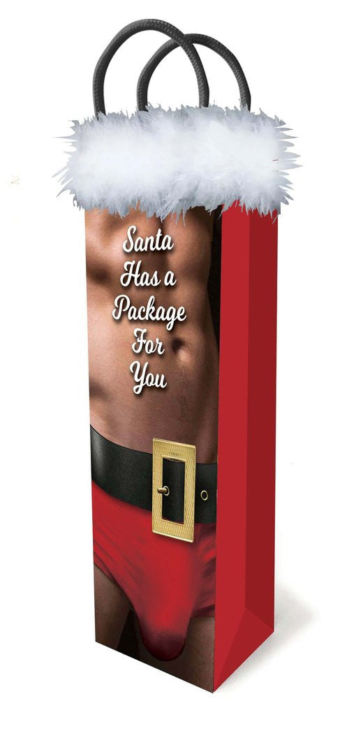 LG - Sac Cadeau - Santa Has A Package For You