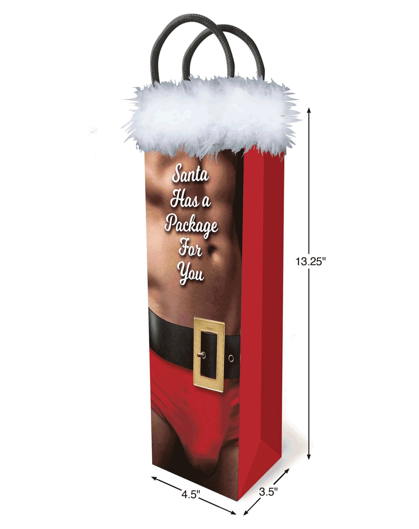 LG - Sac Cadeau - Santa Has A Package For You